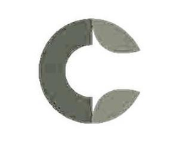 C trademark
