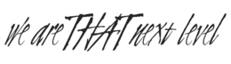 WE ARE THAT NEXT LEVEL trademark