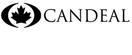 CANDEAL trademark