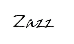 ZAZZ trademark