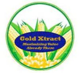 GOLD XTRACT MAXIMIZING VALUE ALREADY THERE trademark