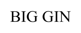 BIG GIN trademark