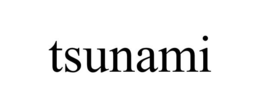 TSUNAMI trademark
