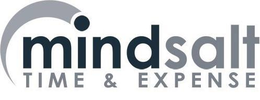 MINDSALT TIME & EXPENSE trademark