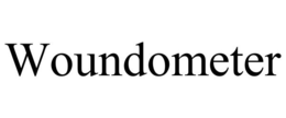 WOUNDOMETER trademark