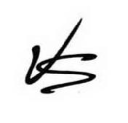 VS trademark
