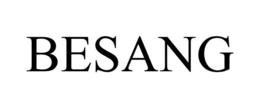 BESANG trademark