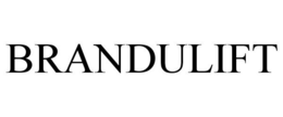 BRANDULIFT trademark