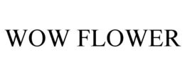 WOW FLOWER trademark
