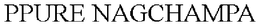 PPURE NAGCHAMPA trademark