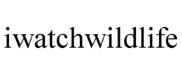 IWATCHWILDLIFE trademark