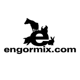 E ENGORMIX.COM trademark