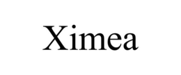 XIMEA trademark