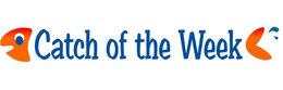 CATCH OF THE WEEK trademark