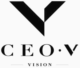 V CEO · V VISION trademark