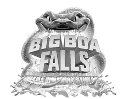 BIG BOA FALLS trademark