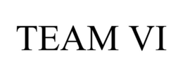 TEAM VI trademark