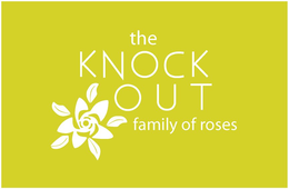 THE KNOCK OUT FAMILY OF ROSES trademark