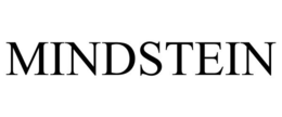 MINDSTEIN trademark