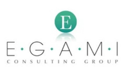 E E  G  A  M  I CONSULTING GROUP trademark
