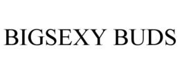 BIGSEXY BUDS trademark