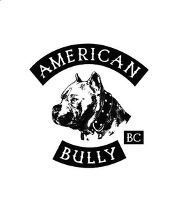AMERICAN BULLY BC trademark
