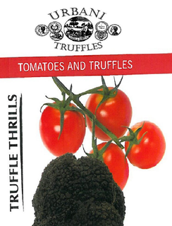TRUFFLE THRILLS TOMATOES AND TRUFFLES URBANI TRUFFLES trademark