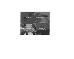 LIFE PLAN BUSINESS VISION BUSINESS PLANPRIORITY MANAGEMENT trademark