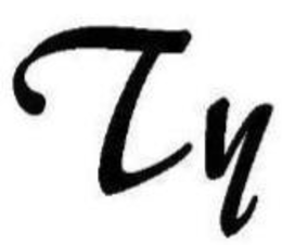 TY trademark