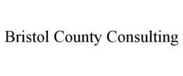 BRISTOL COUNTY CONSULTING trademark