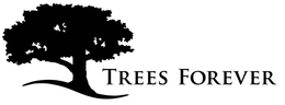 TREES FOREVER trademark