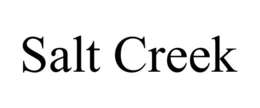 SALT CREEK trademark