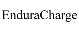 ENDURACHARGE trademark