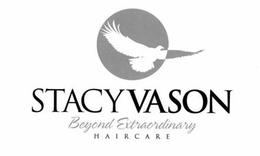 STACY VASON BEYOND EXTRAORDINARY H A I RC A R E trademark