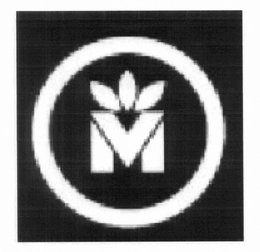 VM trademark