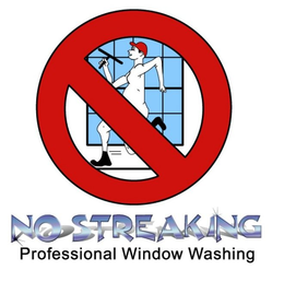 NO STREAKING PROFESSIONAL WINDOW WASHING trademark
