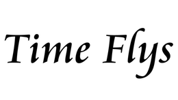 TIME FLYS trademark