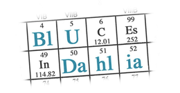 BLU DAHLIA VIB VIIB VIIIB 4 5 6 99 49 50 51 52 74 75 76 77 C ES IN 12.01 252 114.82 trademark