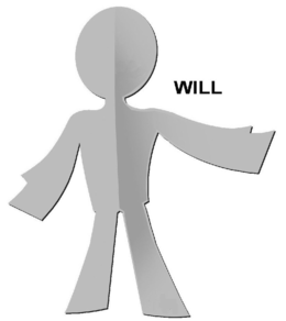 WILL trademark