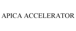 APICA ACCELERATOR trademark