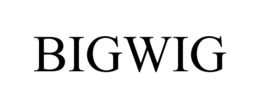 BIGWIG trademark