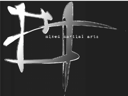 BT MIXED MARTIAL ARTS trademark