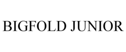 BIGFOLD JUNIOR trademark