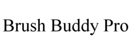 BRUSH BUDDY PRO trademark