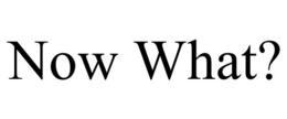 NOW WHAT? trademark