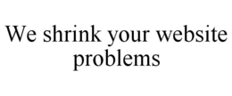WE SHRINK YOUR WEBSITE PROBLEMS trademark