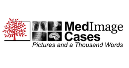 MEDIMAGE CASES, PICTURES AND A THOUSAND WORDS trademark