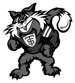 ST trademark