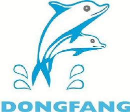 DONGFANG trademark