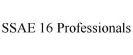 SSAE 16 PROFESSIONALS trademark